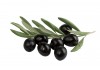 Autocollant olive noir
