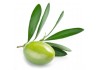 Sticker cuisine olive verte