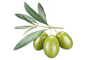 Sticker cuisine olive verte
