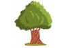 Sticker olivier arbre