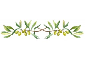 Sticker frise olive branche