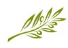 Sticker feuille olivier