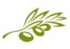 Sticker feuille et olives