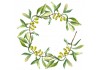 Sticker couronne olive feuilles