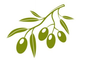 Sticker cuisine olive