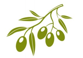 Sticker olive feuilles pas cher
