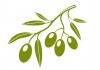 Sticker olive feuilles pas cher