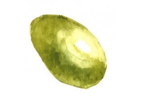 Sticker olive verte déco