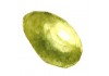 Sticker olive verte déco