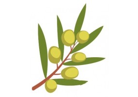 Sticker cuisine olive feuille