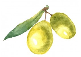 Sticker olive verte vintage