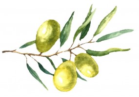 Sticker cuisine olive verte