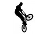 Sticker bmx noir