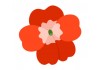 Sticker Australie fleur rouge