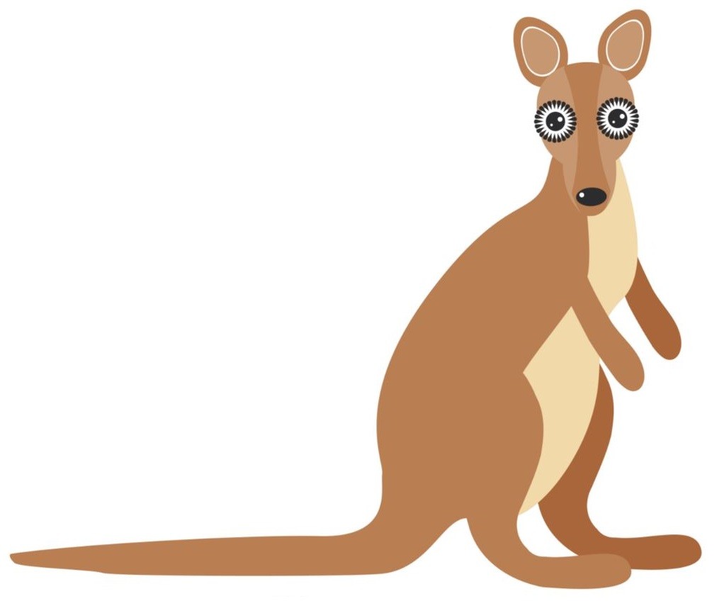 Autocollant sticker voiture moto animal animaux 2 kangourou australie enfant 