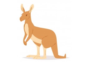 Sticker Australie kangourou