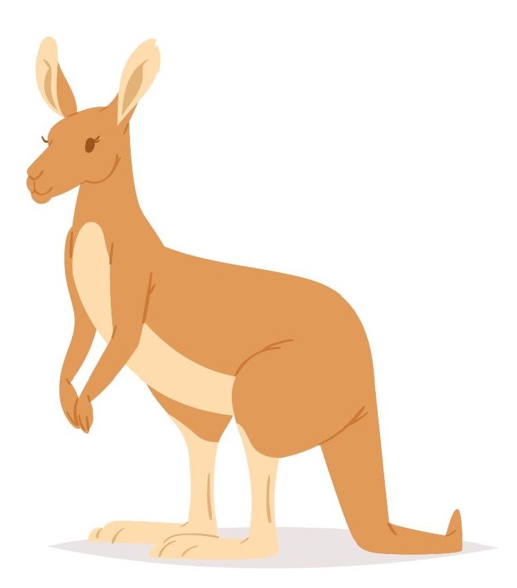 Stickers Deco Australie Kangourou