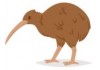 Sticker kiwi