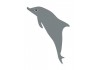 Sticker Australie dauphin