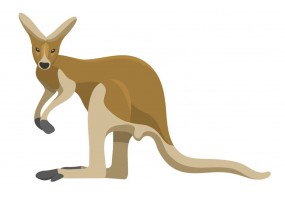 Sticker Australie kangourou marron