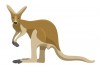 Sticker Australie kangourou marron