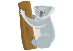 Sticker Australie koala