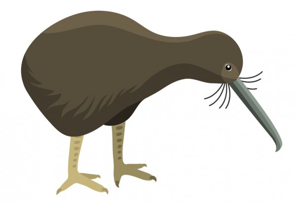 Sticker Australie oiseau