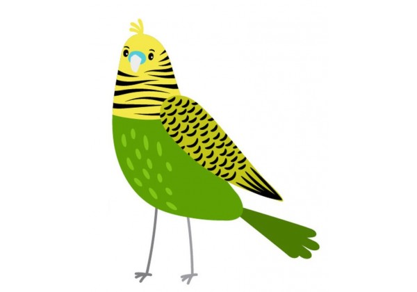 Sticker Australie oiseau coloré