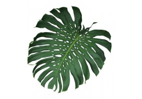 Sticker grande feuille XXL