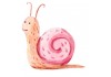 Sticker animaux escargot