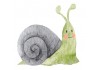 Sticker animaux escargot vert