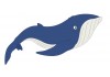 Sticker baleine bleue