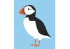 Sticker oiseau polaire