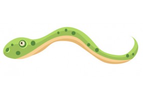 Sticker serpent vert