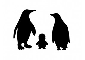 Sticker silhouette famille pingouin