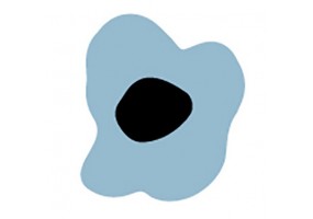Sticker fleur bleue