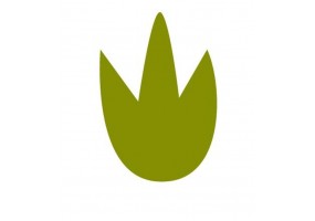 Sticker plante verte