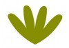 Sticker plante verte