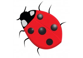 Sticker coccinelle