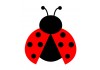 Sticker ailes coccinelle