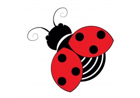 Sticker coccinelle ailes