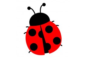 Sticker coccinelle