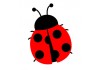 Sticker coccinelle