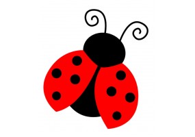 Sticker coccinelle