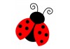 Sticker coccinelle