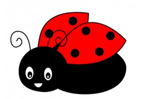 Sticker vol coccinelle