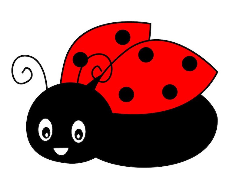 Stickers Deco Vol Coccinelle