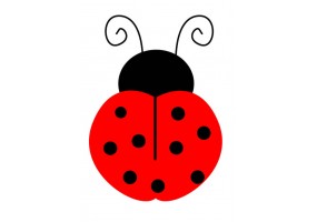 Sticker coccinelle