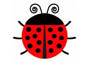 Sticker coccinelle