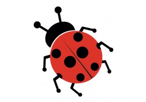 Sticker coccinelle